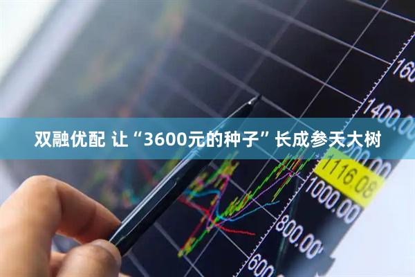 双融优配 让“3600元的种子”长成参天大树