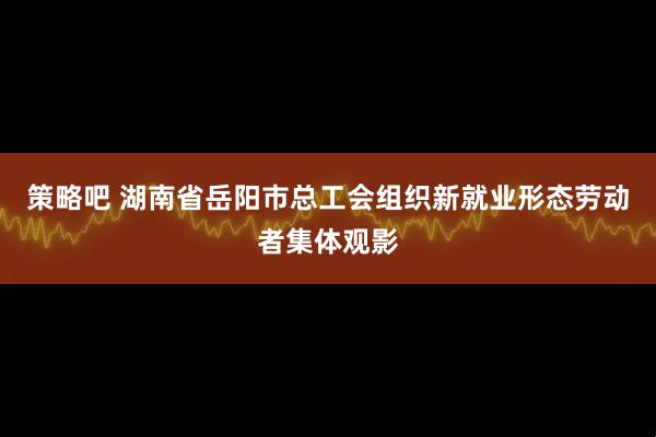 策略吧 湖南省岳阳市总工会组织新就业形态劳动者集体观影